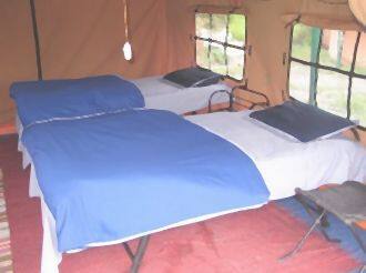 Akash Adventure Triund Camp, Mcleodganj 1